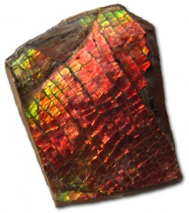 Ammolite　宝石　アンモナイト　化石　オパール状　遊色　霰石　アラゴナイト　誕生日石　１月７日